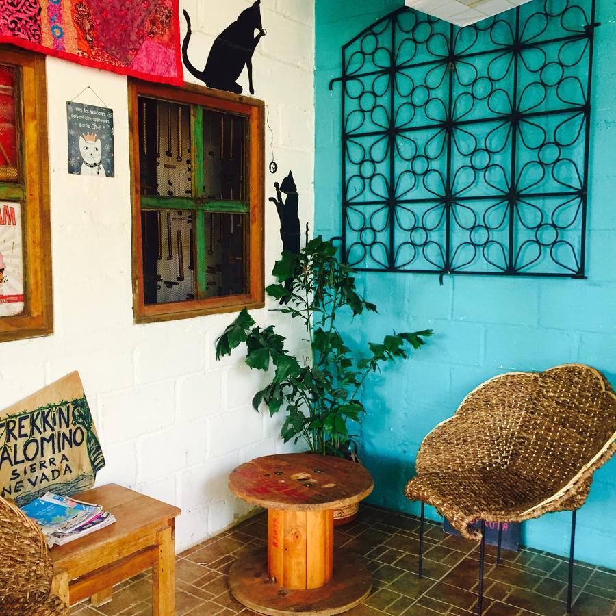 Hotel Casa Juntos à Palomino Extérieur photo